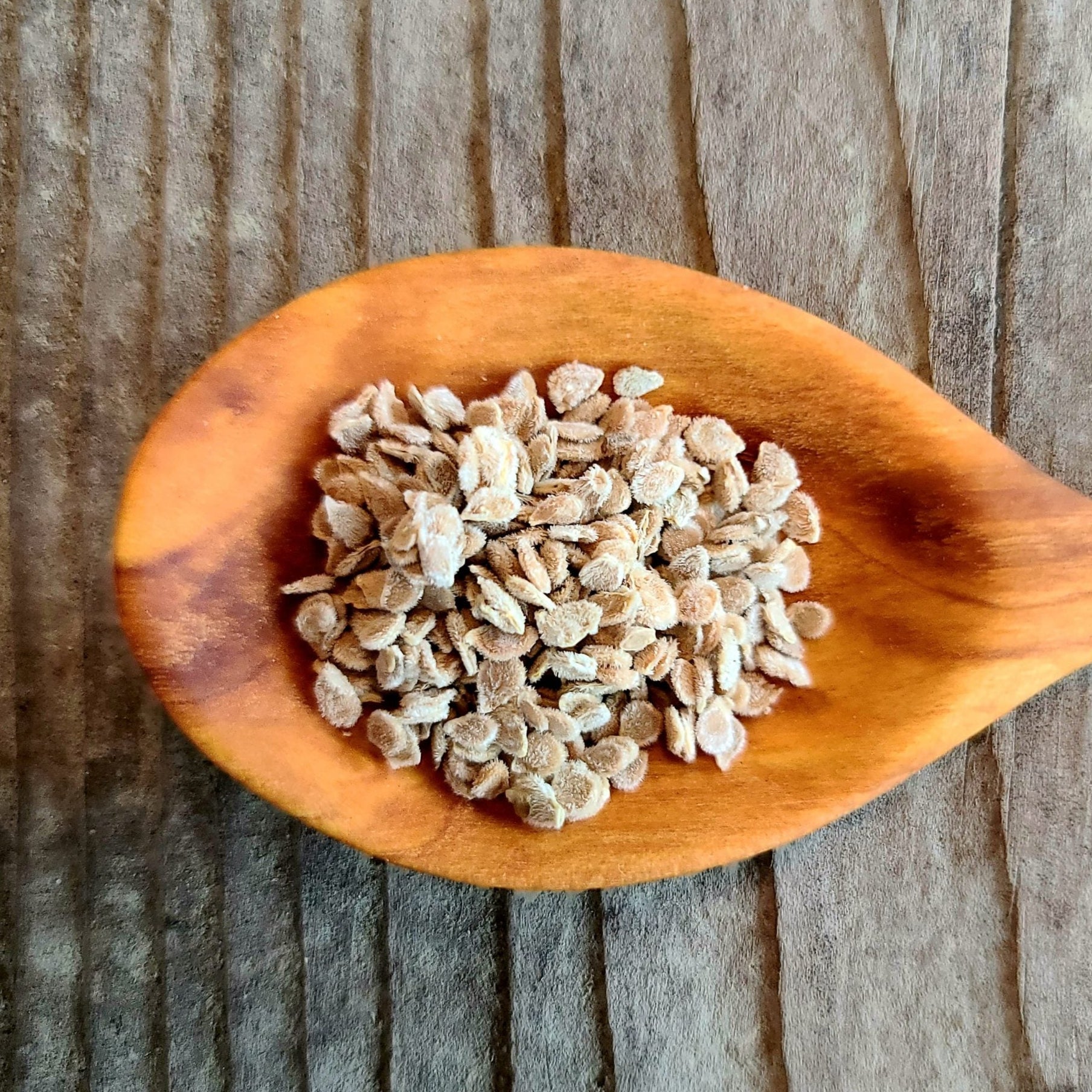 Red Beefsteak Tomato