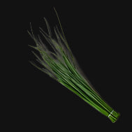 Chive