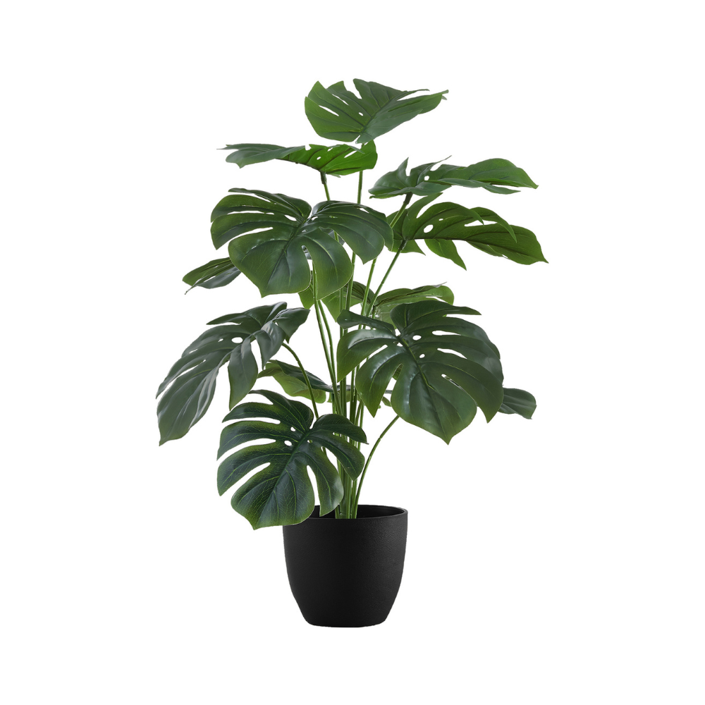 Plante artificielle - Monstera Intérieur Pot 5'', 24''H - Monarch (I 9576)