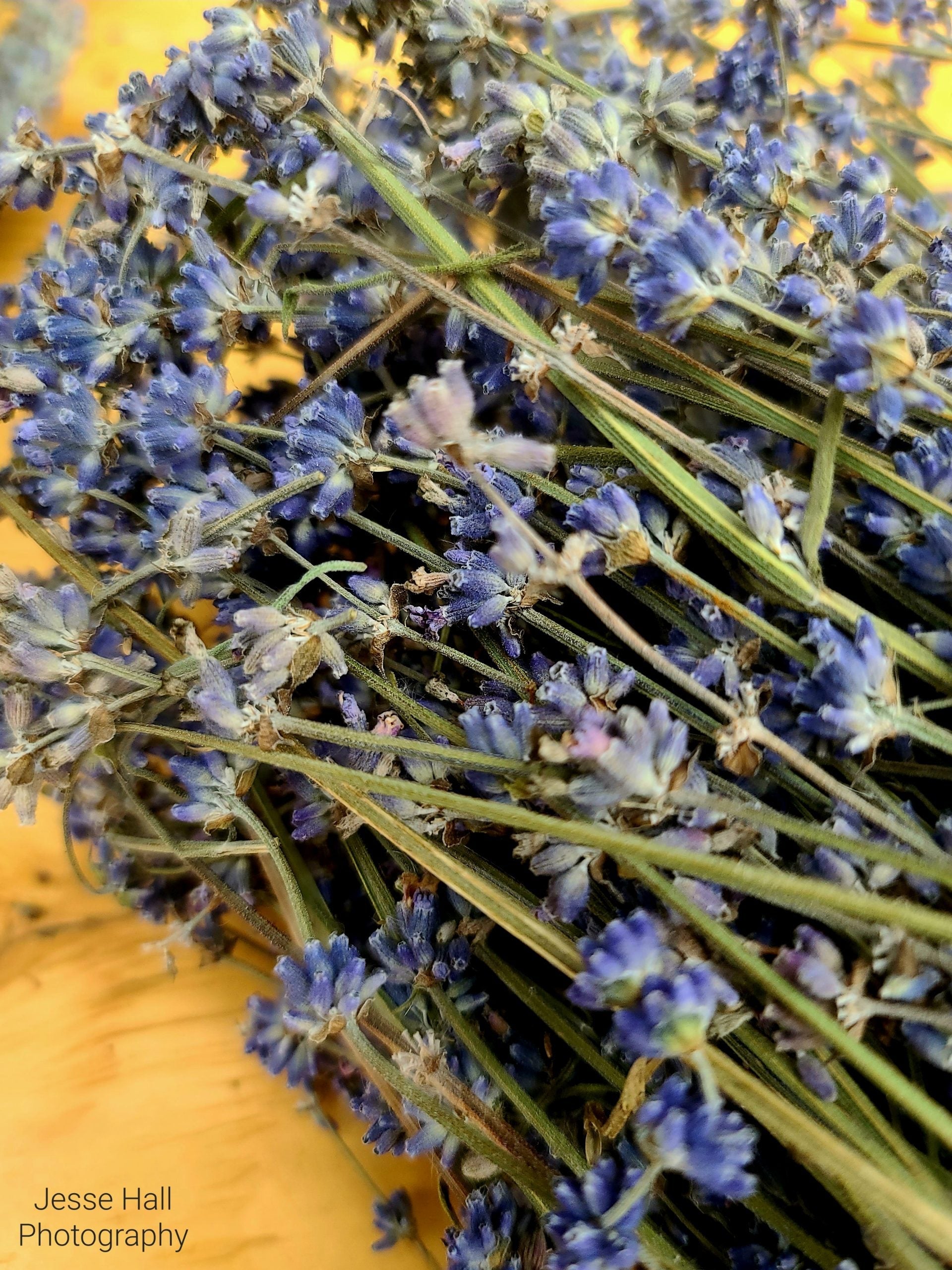 Edible Habitat Bouquet