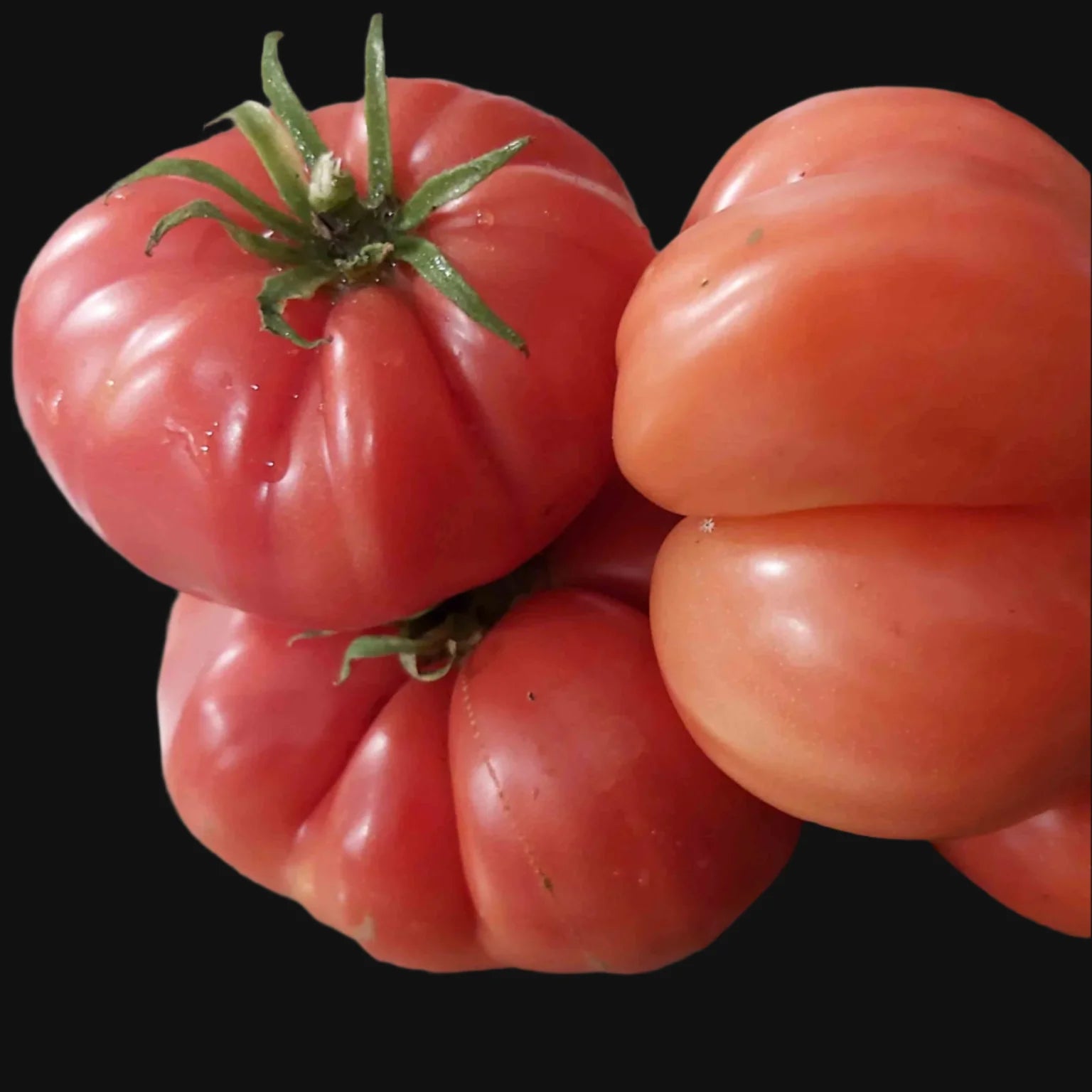 Oxheart Tomato