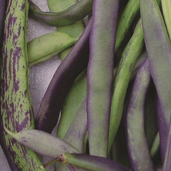 Pole Bean Mix