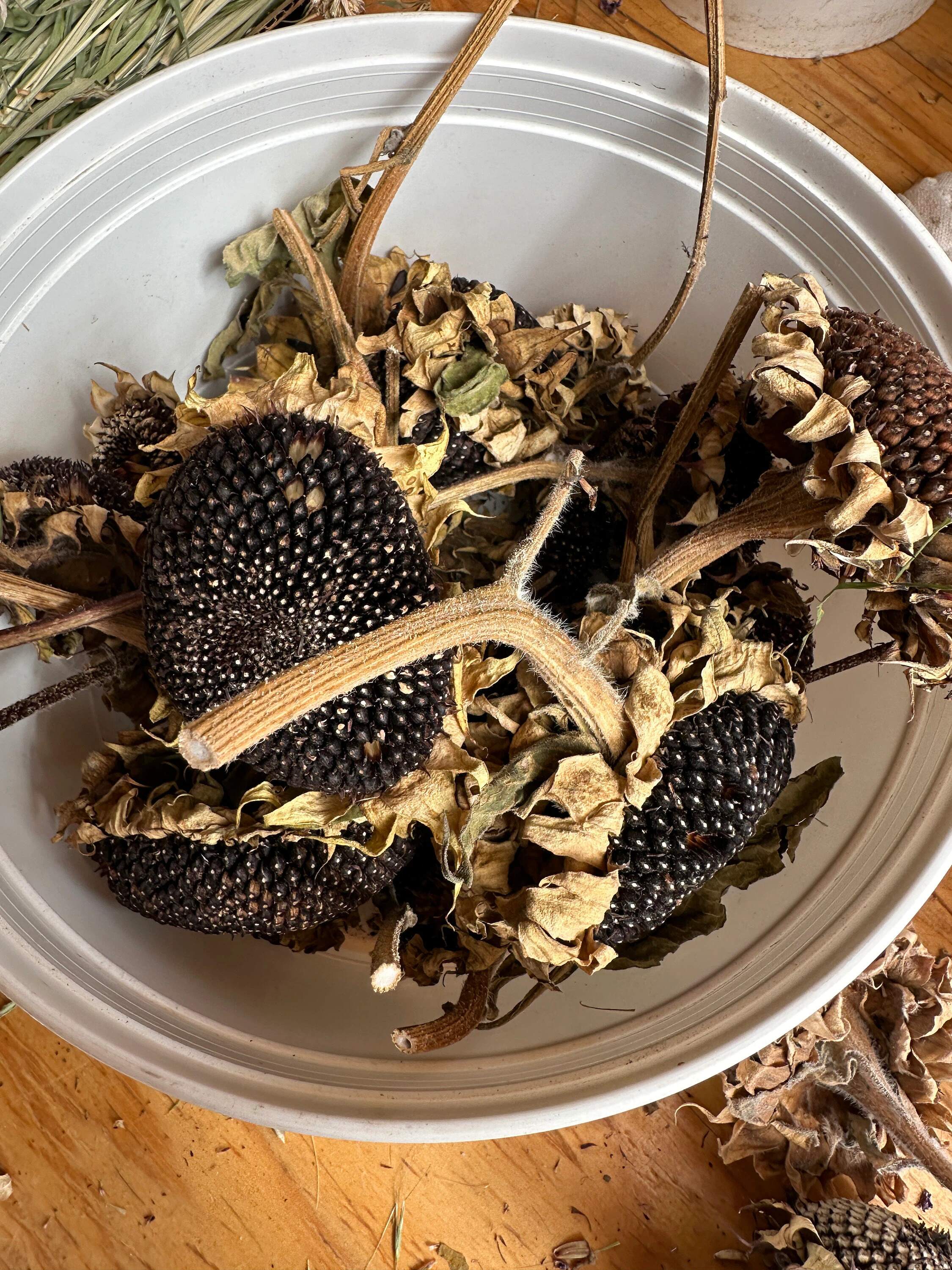 Scrunchy Sunflower Heads