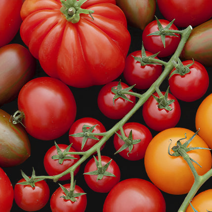 Metchosin Farm Original Tomato Mix