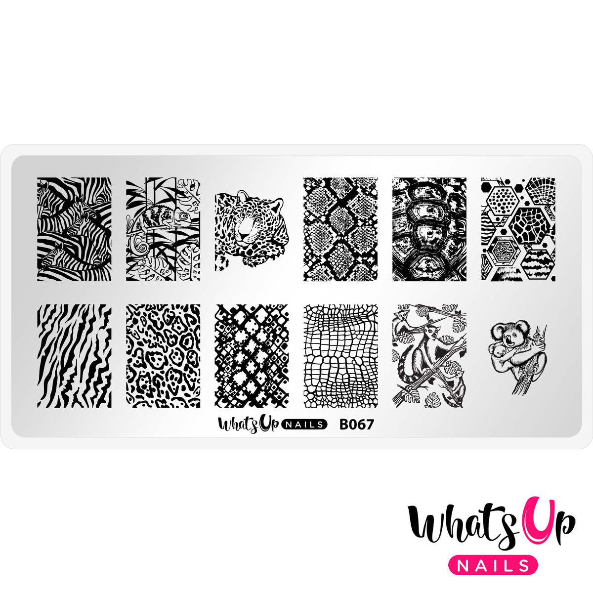 Whats Up - Zoology Trip Stamping Plate