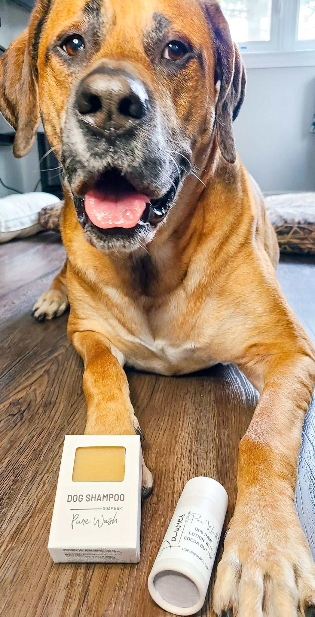 Pawsies Lotion Bar