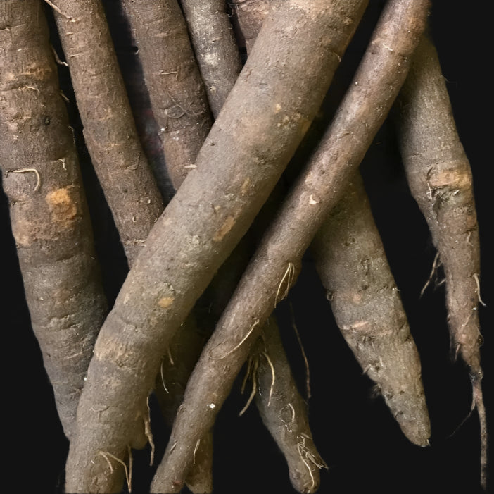 Scorzonera (Black Salsify)