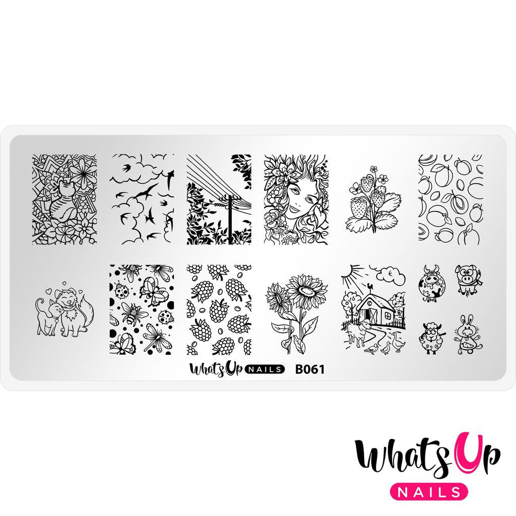 Whats Up - Summer In the Countryside Stamping Plate