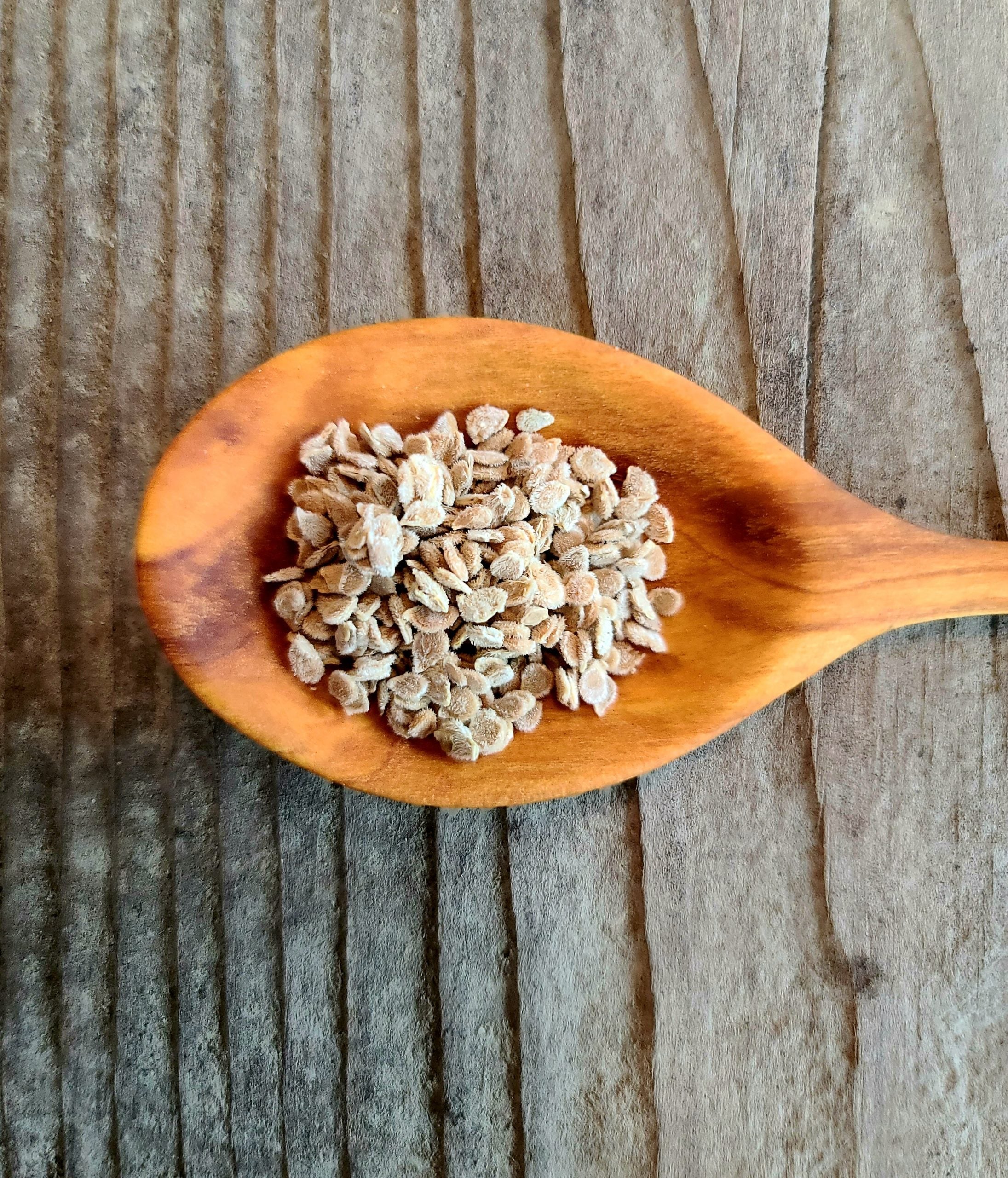 Pink Berkeley Beefsteak Tomato