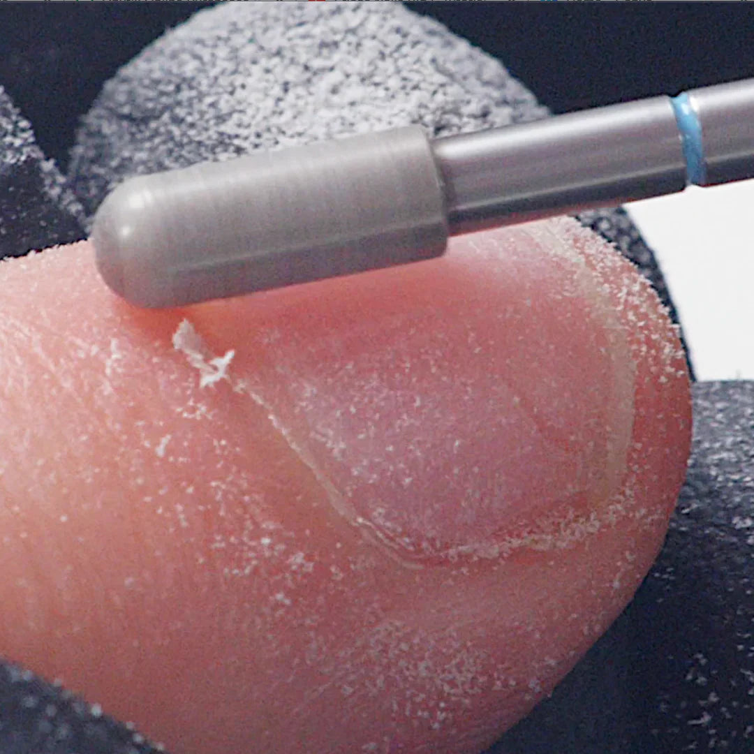 Erica's Big E Bit (2)