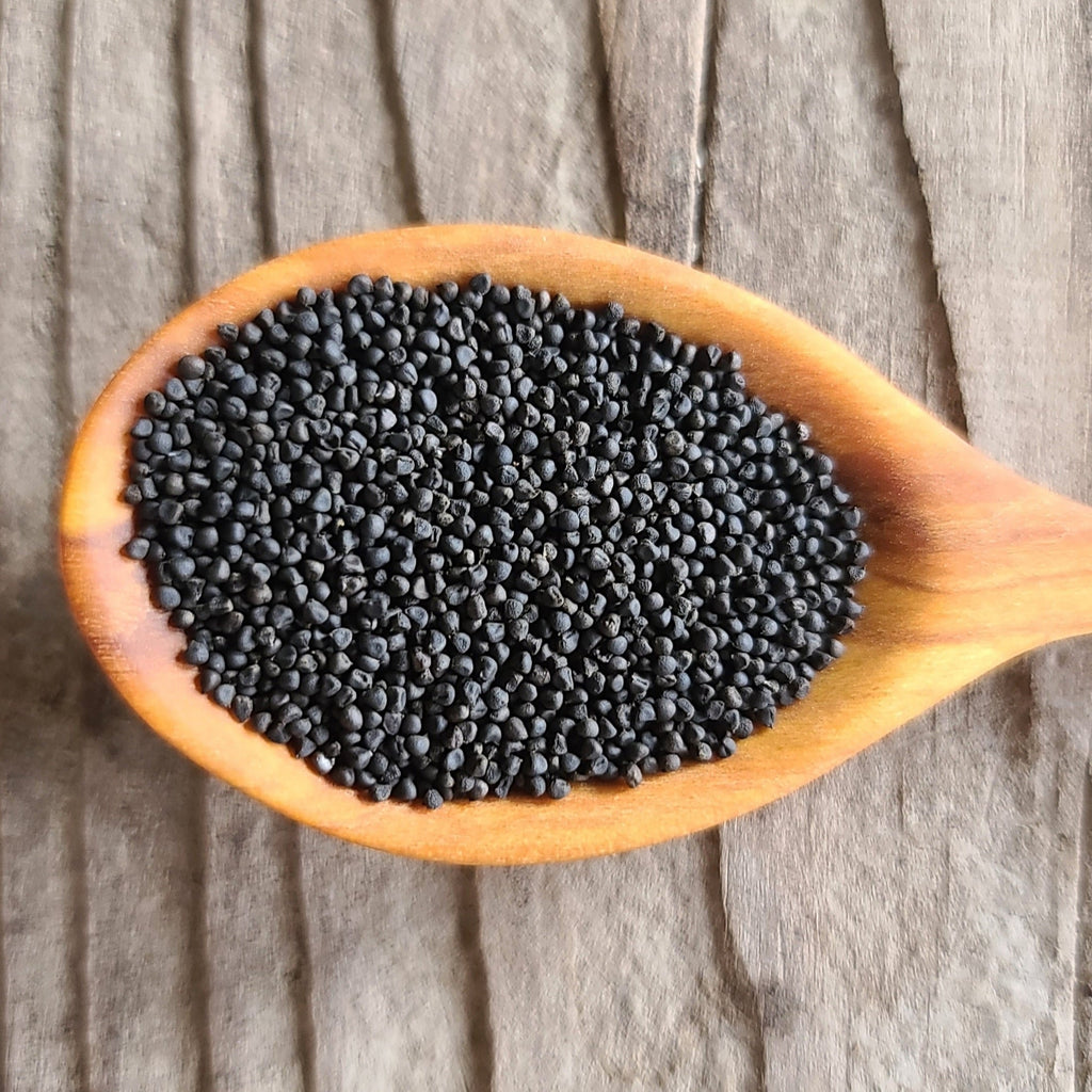 Idaho Blue-Eyed Grass