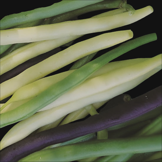 Bush Bean Mix