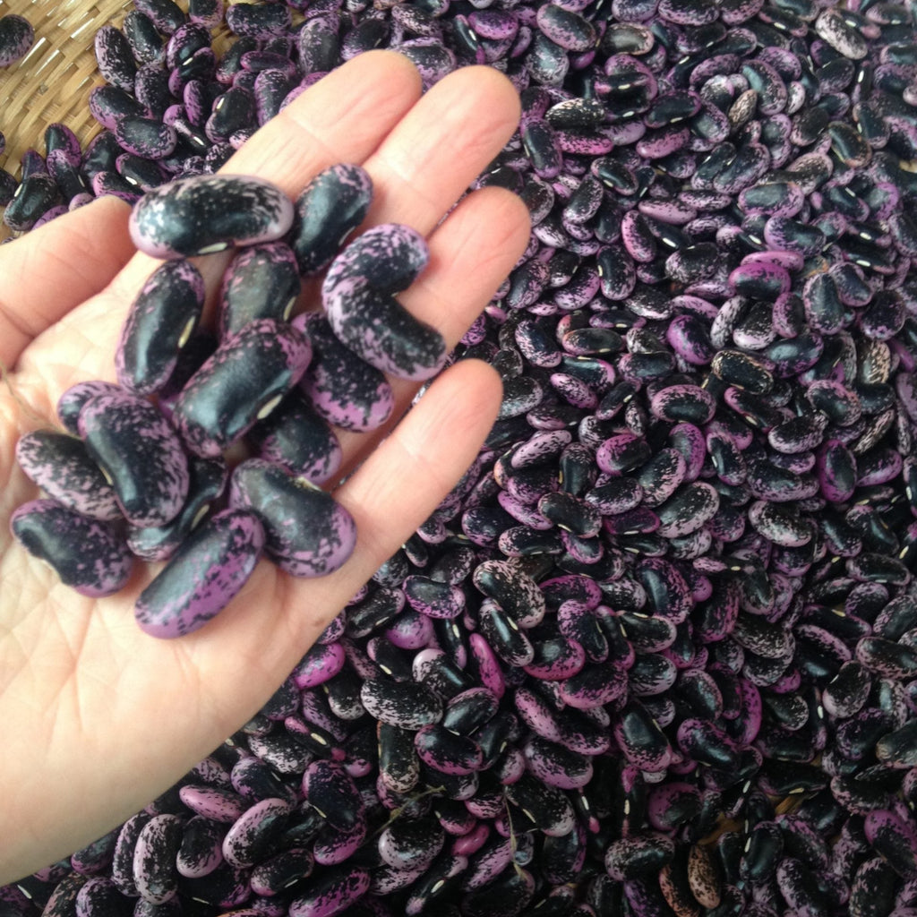 The Three Sisters Collection