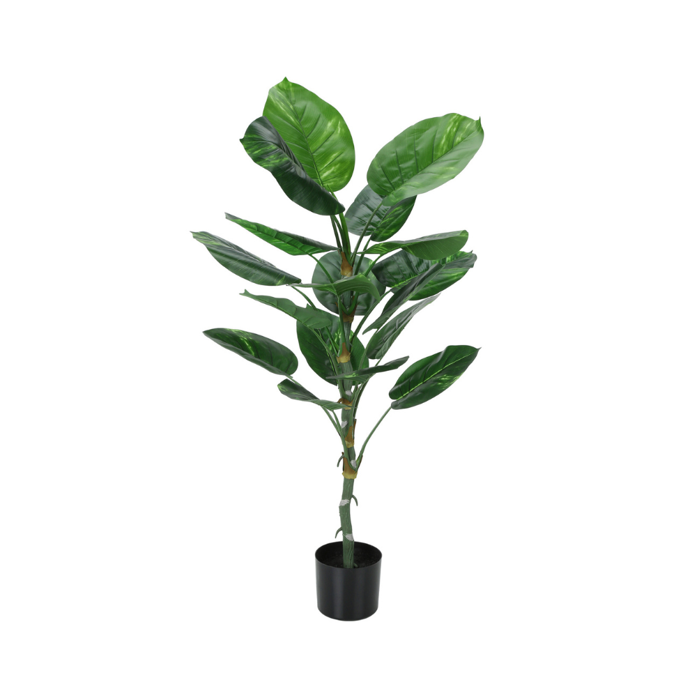 Plante artificielle - Dieffenbachia Intérieur Pot 5'', 54''H - Monarch (I 9519)