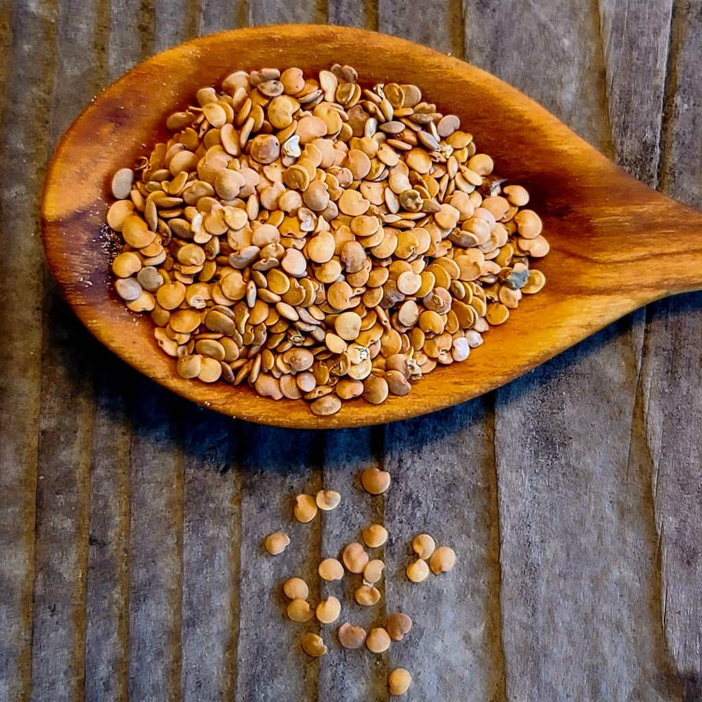 Listada Di Gandia Eggplant