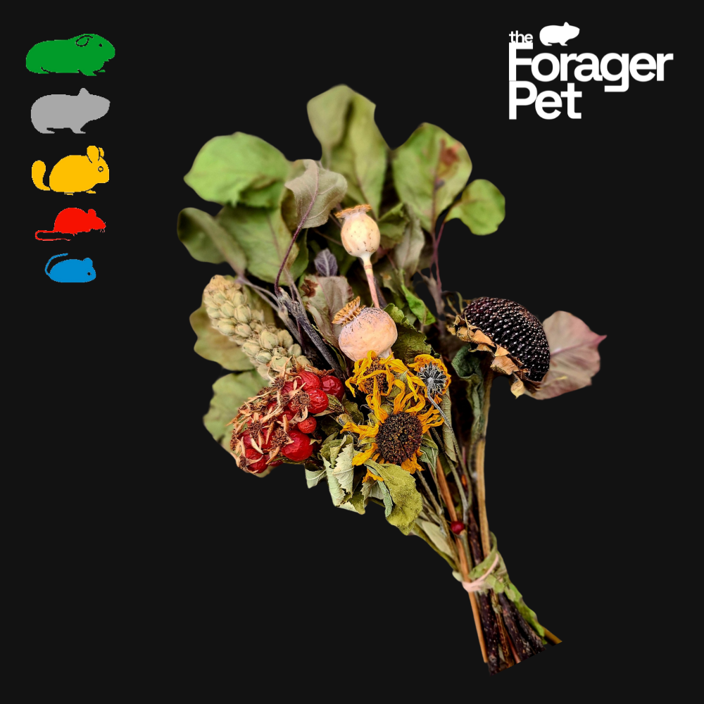 Edible Habitat Bouquet