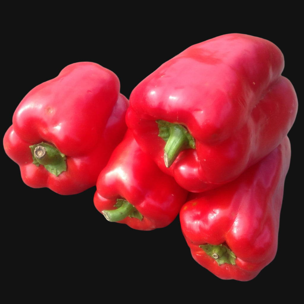 King of the North Pepper