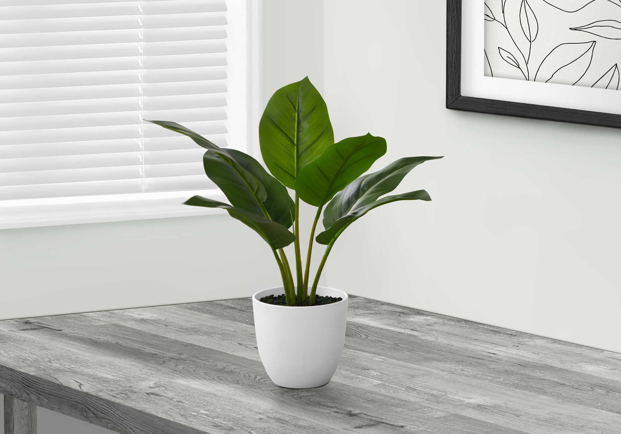 Plante artificielle - Aureum Intérieur Pot 5'', 17''H - Monarch (I 9502)