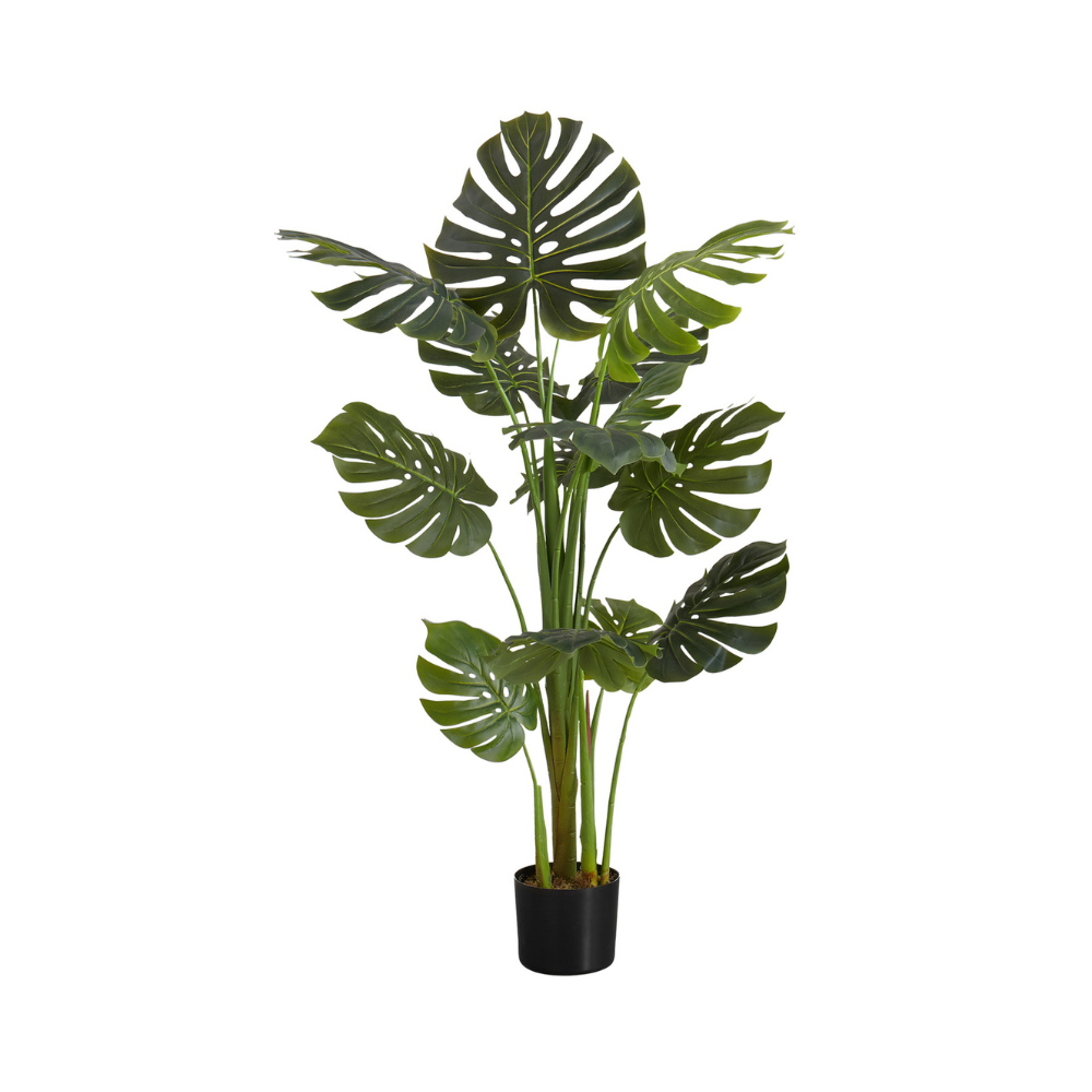Plante artificielle -  monstera intérieur pot 6",  55"H - Monarch (I 9548)