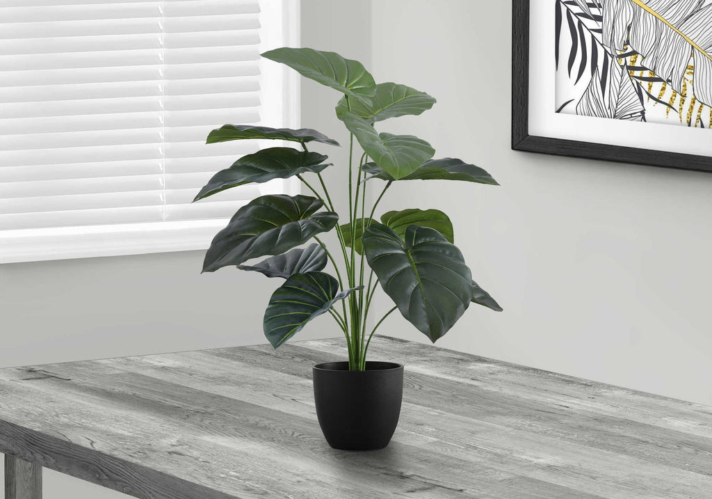 Plante artificielle - Alocasia Intérieur Pot 5'', 24''H - Monarch (I 9578)