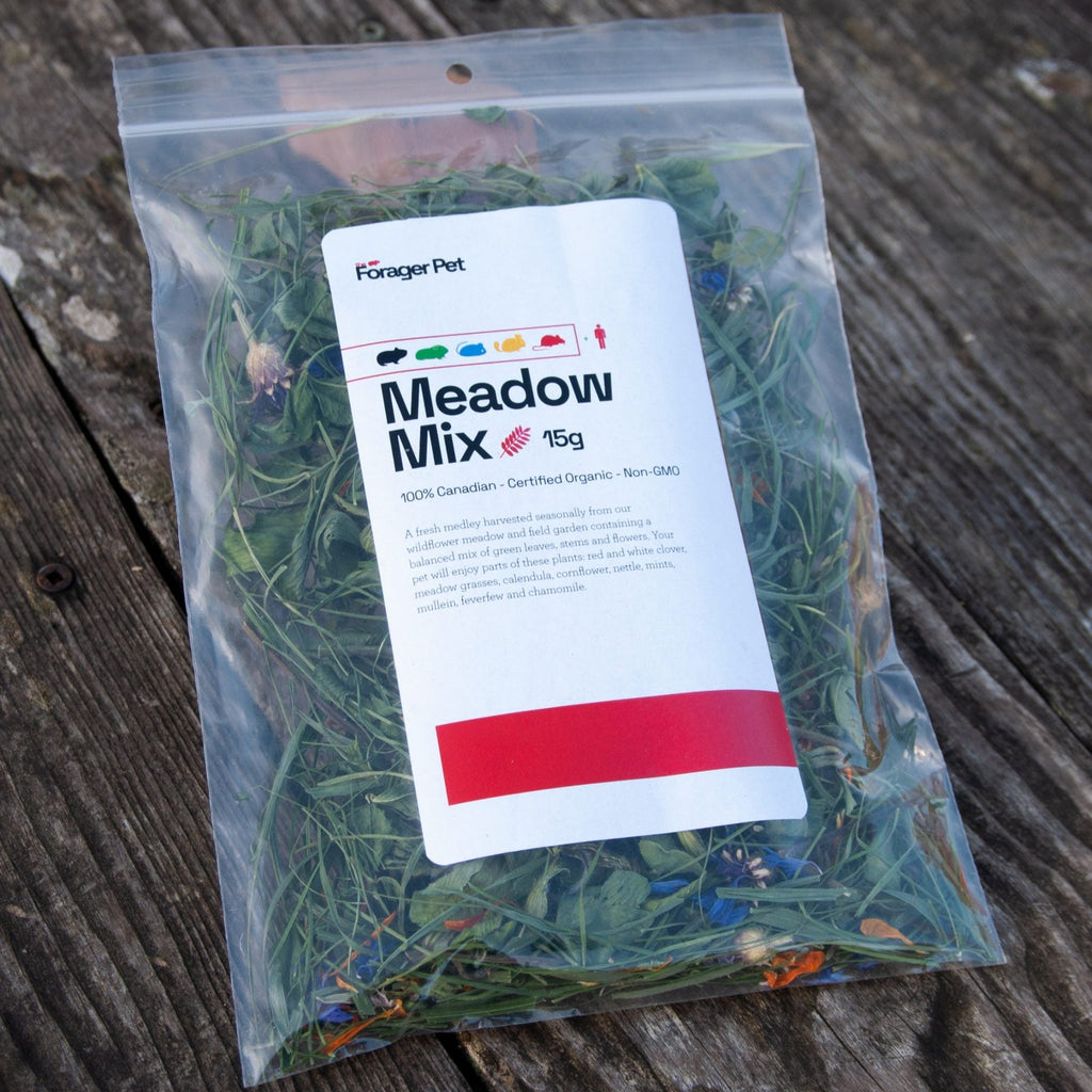 Meadow Foraging Mix