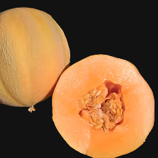 Minnesota Midget Melon