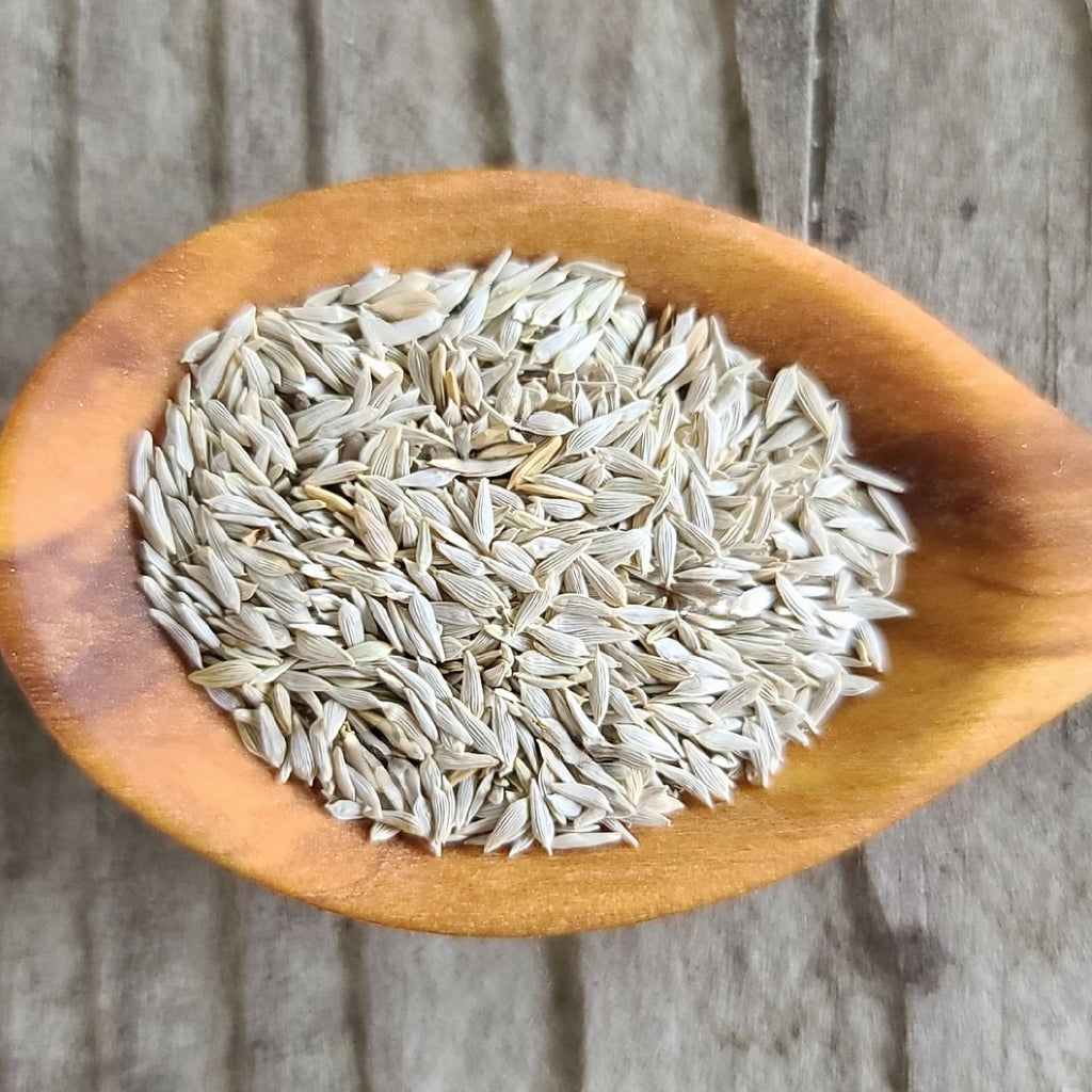 Butterhead Lettuce (Mirlo Lettuce)