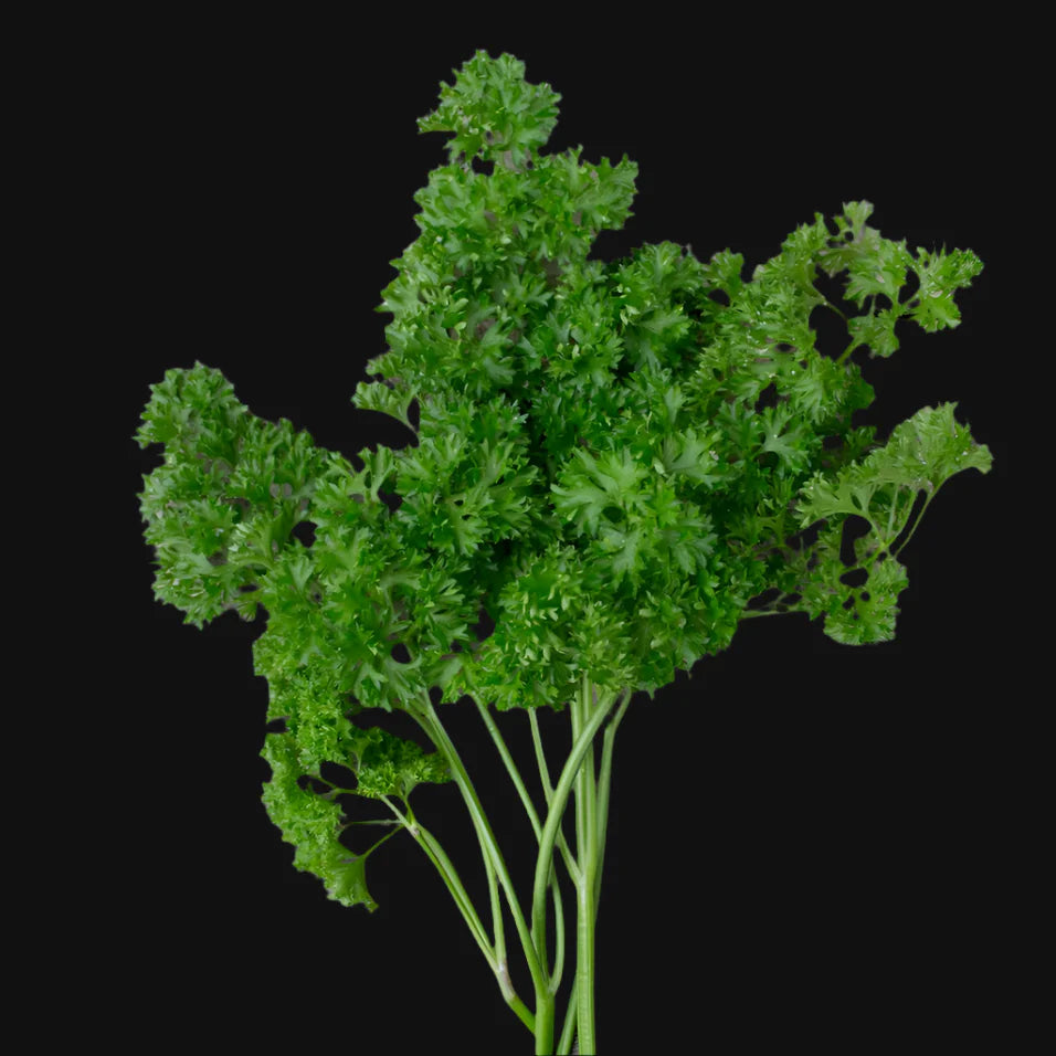 Parsley