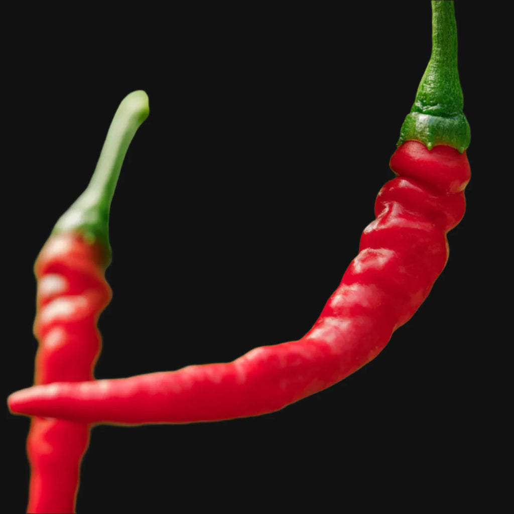 Ring-O-Fire Hot Pepper