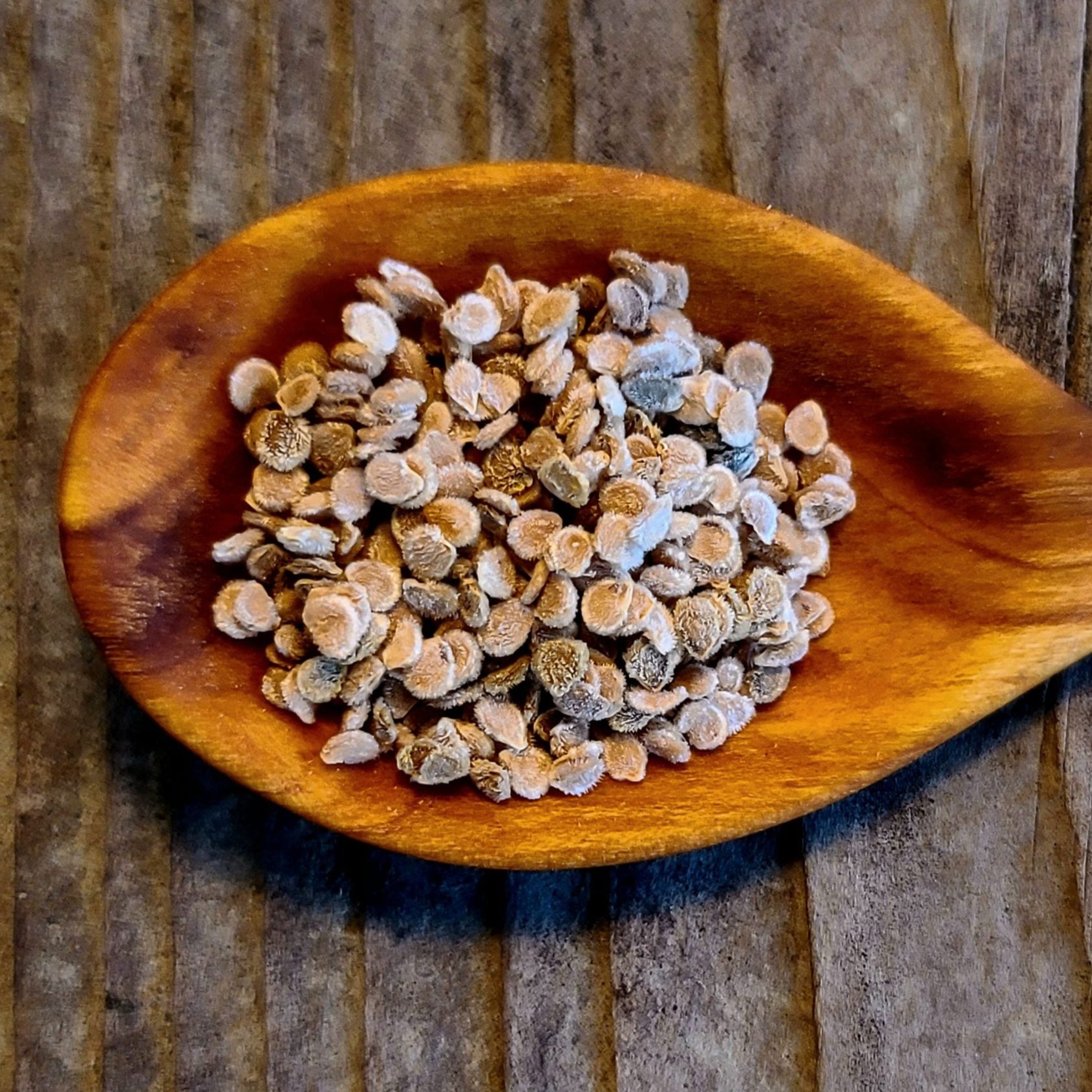 Speckled Roman Tomato