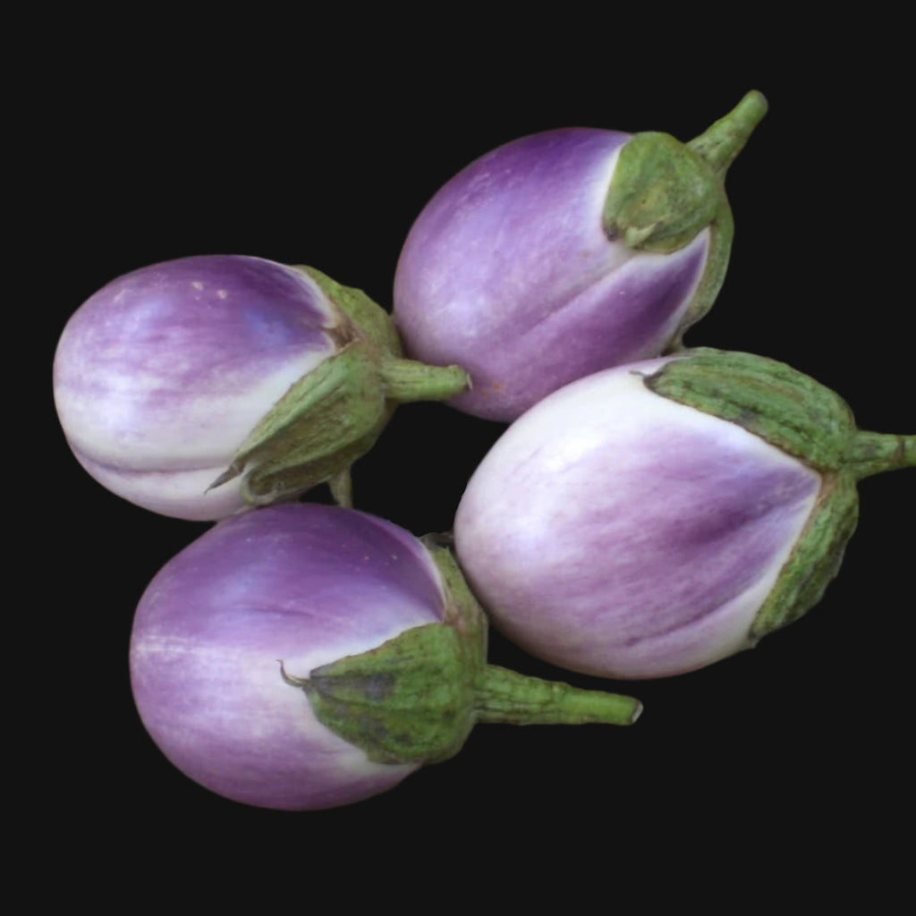 Eggplant Mix