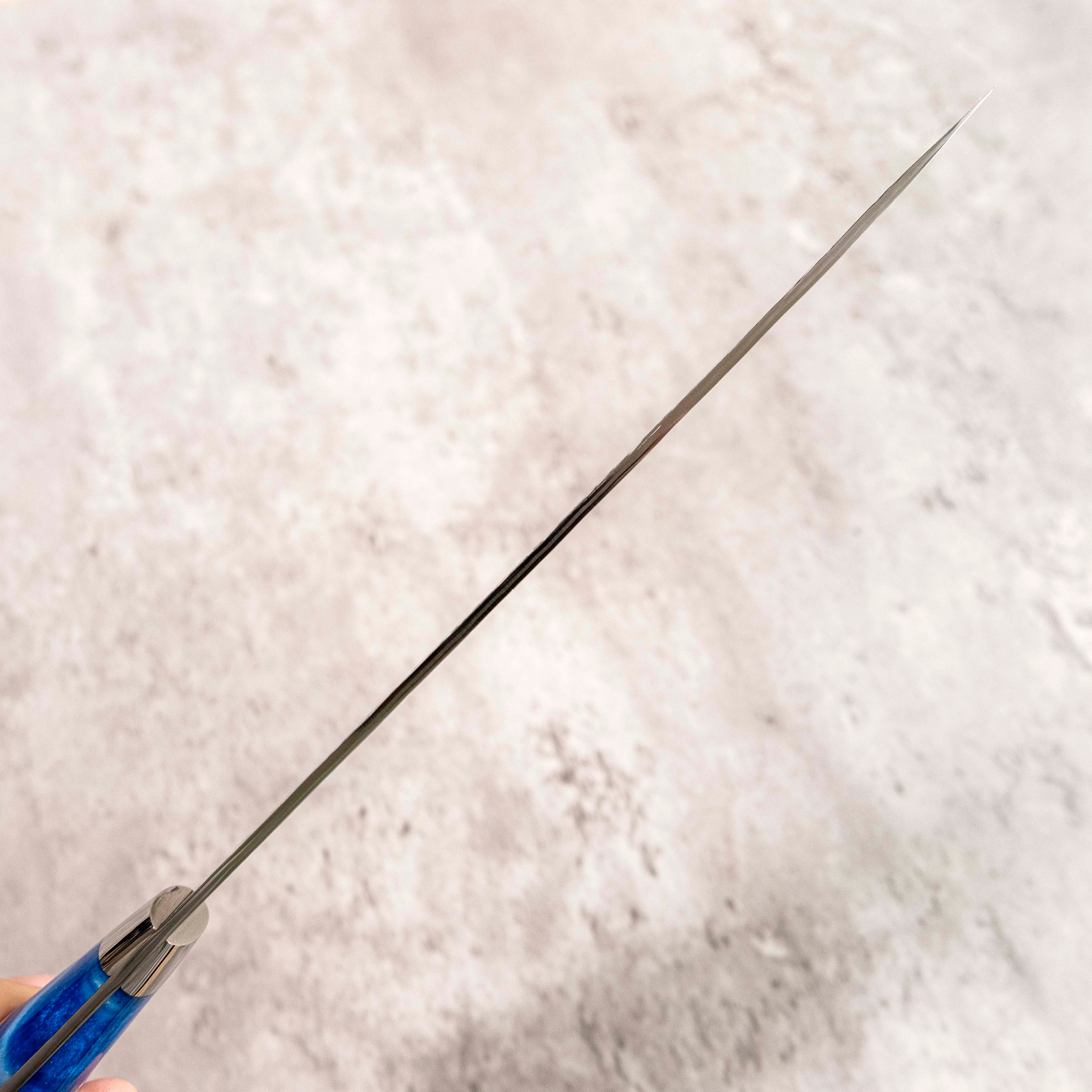 Takeshi Saji STRIX Gyuto 205 mm