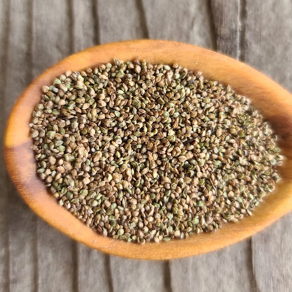 Stinging Nettle (Seeds)