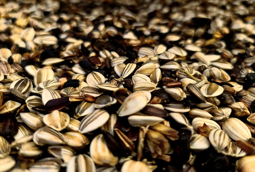 Sunflower Mix