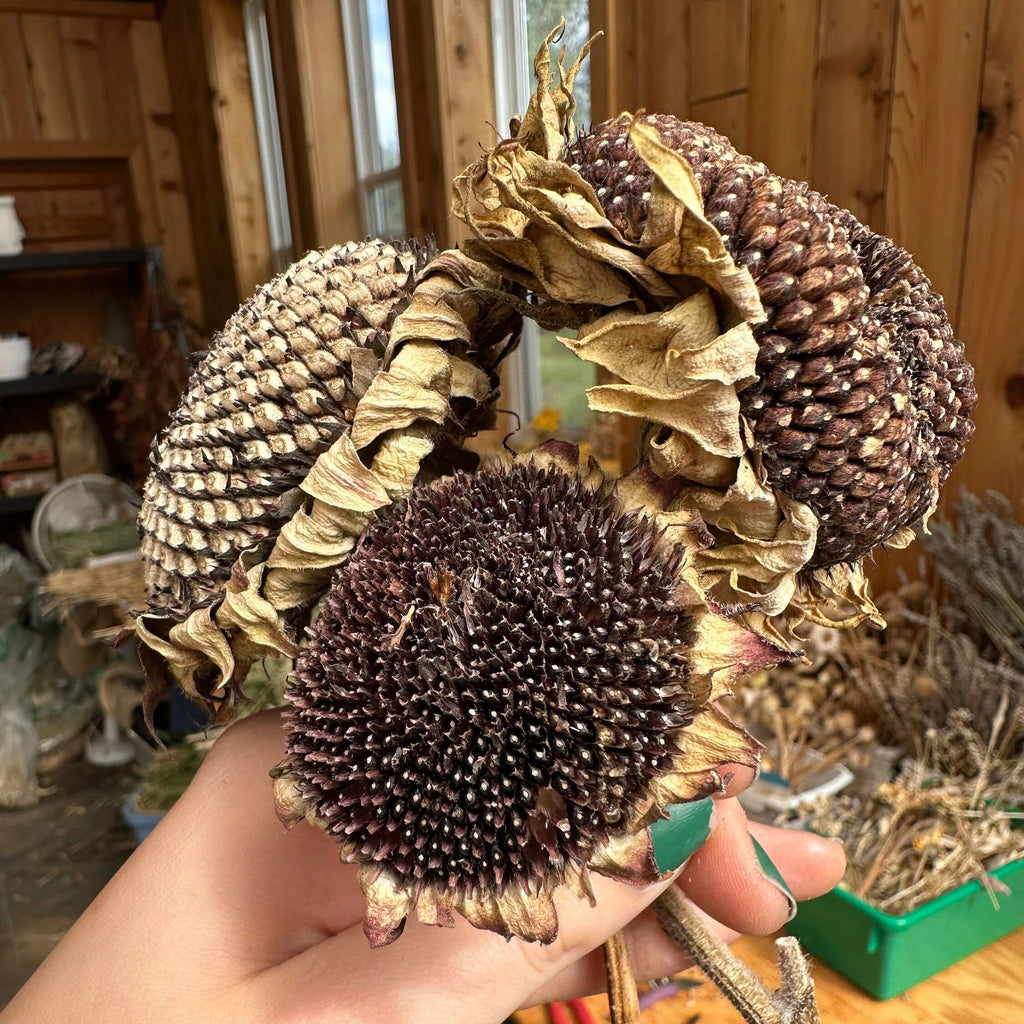 Scrunchy Sunflower Heads