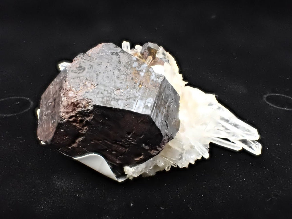 Black Pyrite with Quartz – Fengjiashan Mine (2" Specimen)