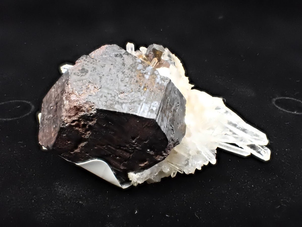 Black Pyrite with Quartz – Fengjiashan Mine (2" Specimen)