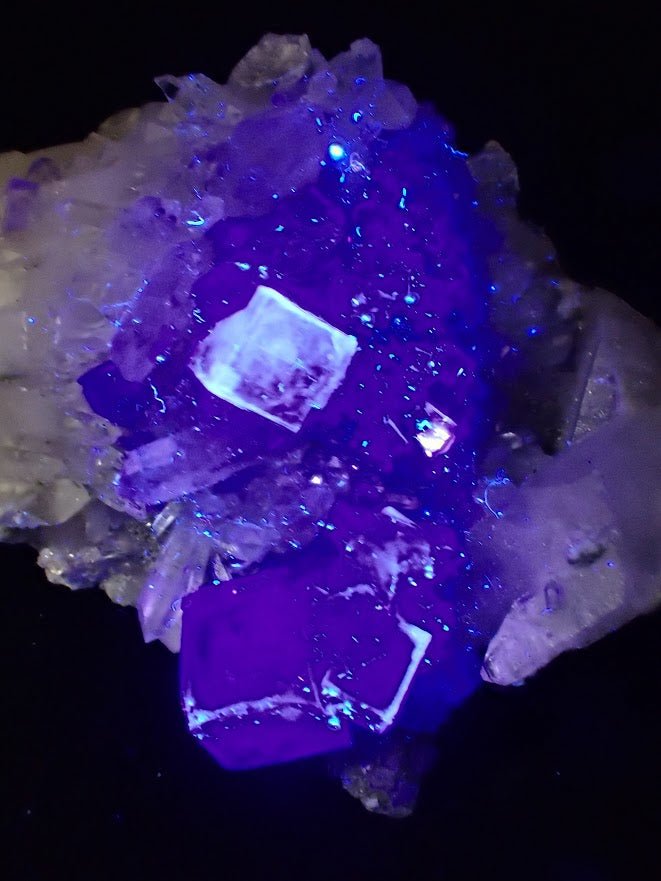 Fluorite on Quartz with Chlorite and UV Fluorescence – Yaogangxian Mine, Hunan, China