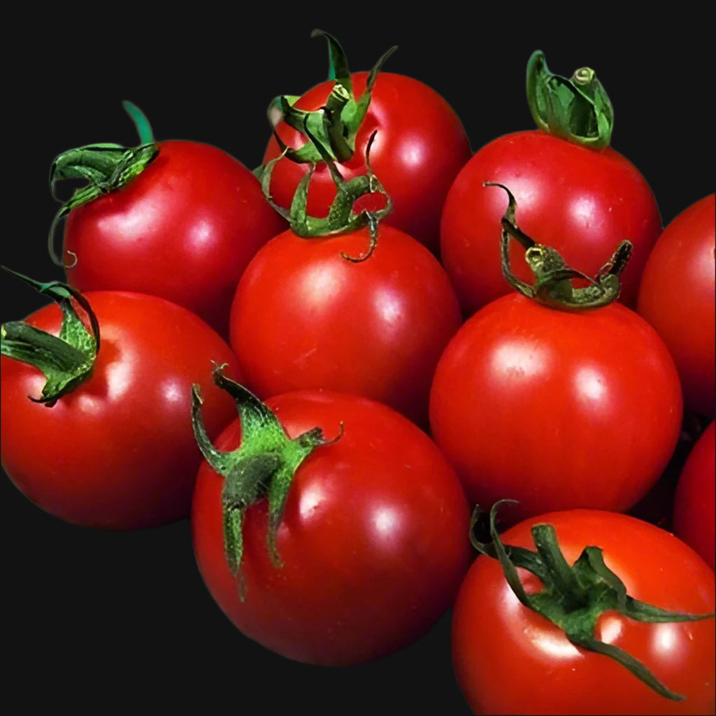 Alicante Tomato