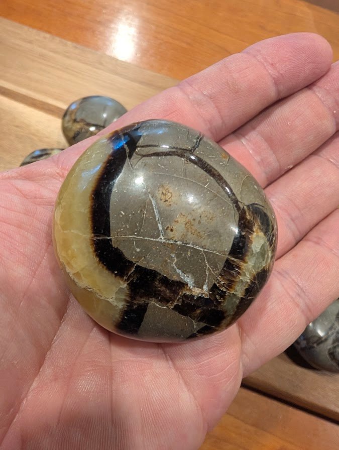 Septarian "Dragon Stone"  Palm Stones – Madagascar