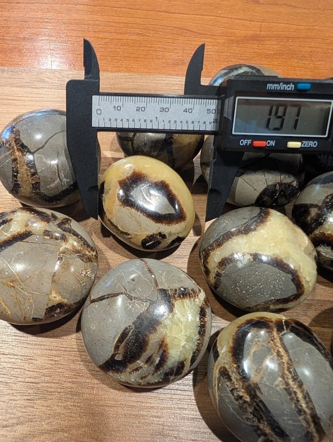 Septarian "Dragon Stone"  Palm Stones – Madagascar